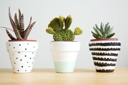 3 vasinhos de cerâmicas com cactos para decoração 