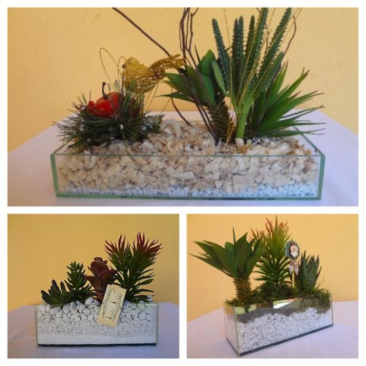 3 modelos de vaso de vidro cachepo com pedras e plantas 
