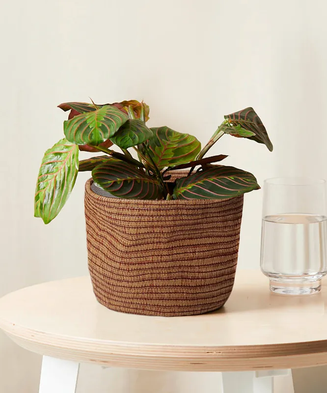 mesa com um vaso de cachepoô na cor amadeirado 