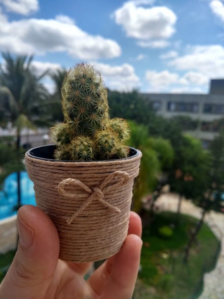 vaso decorativo pequeno estilo dedo de dama.