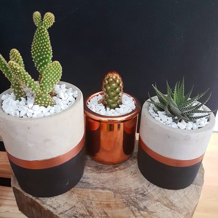 3 vasinhos modernos com cactos para decoração 