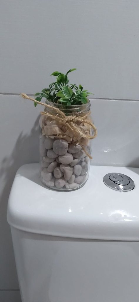 caixa acoplada de banheiro com 1 vasinho decorativo em cima 