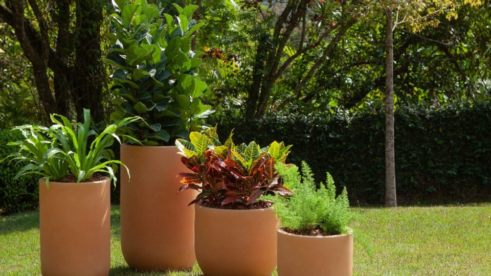 4 vasos grandes de cachepô com plantas naturais na área externa 