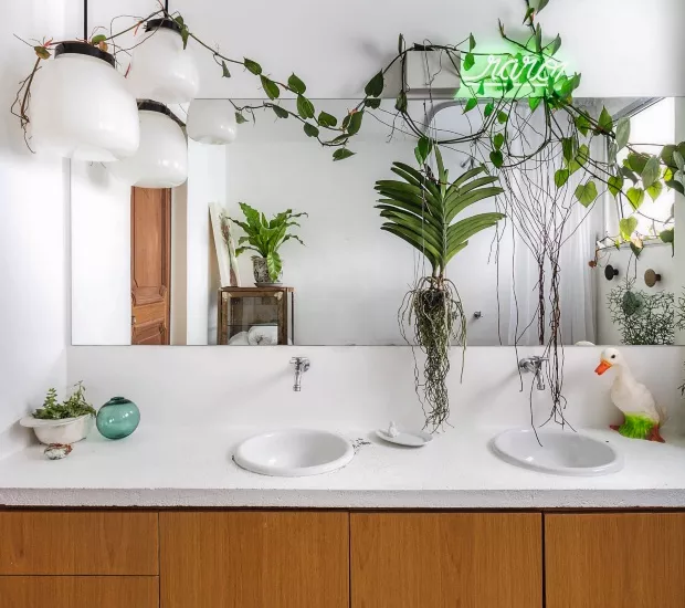 banheiro com vasos de plantas e plantas decorativas