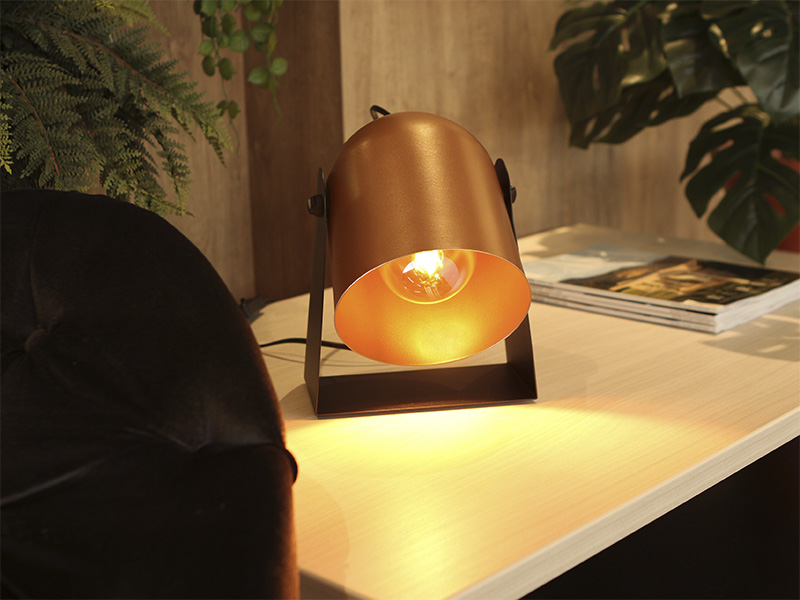 mesinha com uma luminária moderna, ao lado algumas revistas e plantas para decorar.
